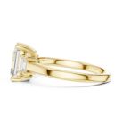 DDLR-038-EM-02@Y-#viwe3