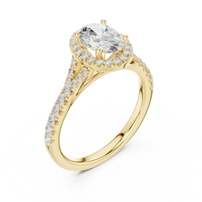 DDLR-043-OV-01@Y-#viwe2