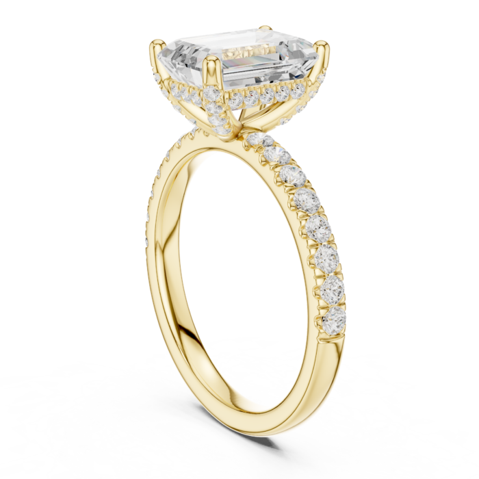 DDLR-161-EM-01@Y-#viwe1