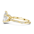 DDLR-167-PE-02@Y-#viwe3