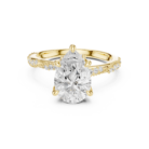 DDLR-167-PE-02@Y-#viwe4