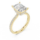 DDLR-171-RA-01@Y-#viwe2