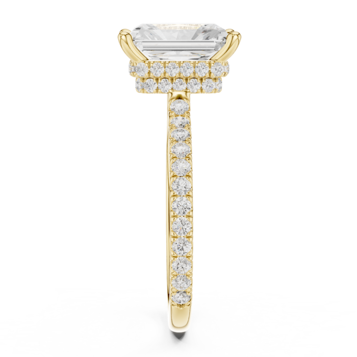 DDLR-171-RA-01@Y-#viwe3