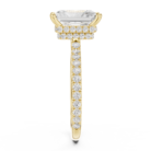 DDLR-171-RA-01@Y-#viwe3