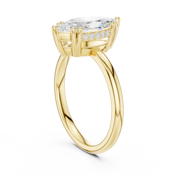 DDLR-254 - R00847-MQ-01@Y-#viwe1