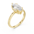 DDLR-254 - R00847-MQ-01@Y-#viwe2