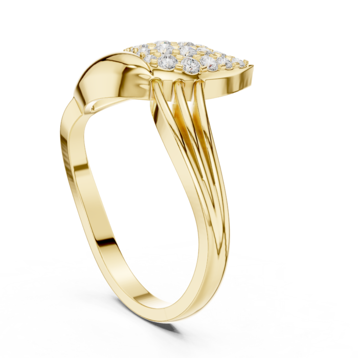 DDLR-664-01@Y-#viwe1