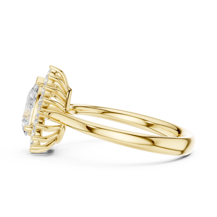 DDLR-699-02@Y-#viwe3