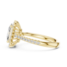 DDLR-732-02@Y-#viwe3