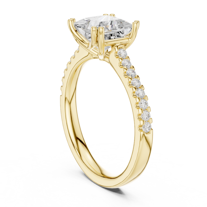 DDLR-735-01@Y-#viwe1