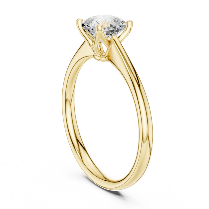 DDLR-797-01@Y-#viwe1