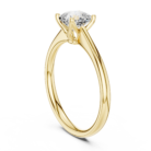 DDLR-797-01@Y-#viwe1