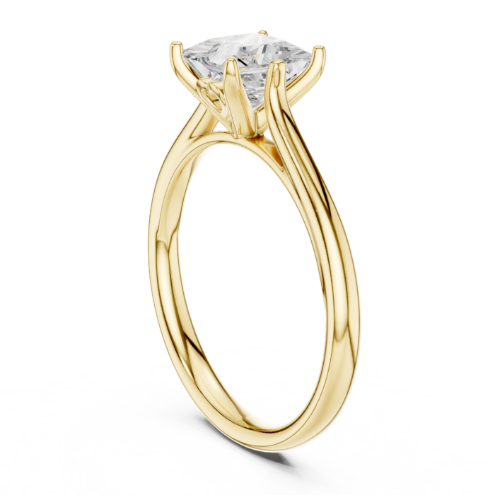 DDLR-798-01@Y-#viwe1