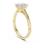 DDLR-798-01@Y-#viwe1