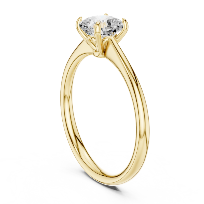 DDLR-801-01@Y-#viwe1