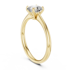 DDLR-801-01@Y-#viwe1