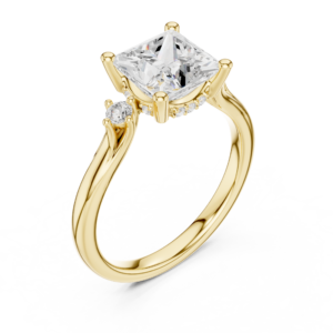 Princess Cut Diamond Halo Ring with Side Accents