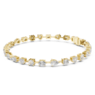 GLBR-0013-01@Y-#viwe1