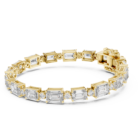 GLBR-0036-01@Y-#viwe1