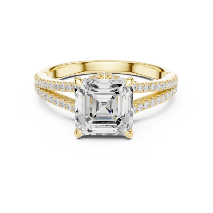 DDLR-252 - ASSCHER-02@Y-#viwe4