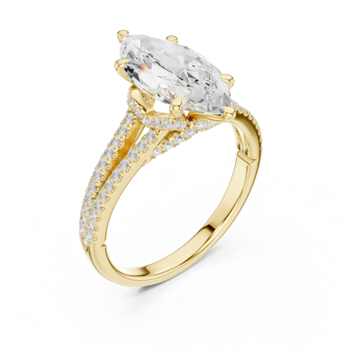 DDLR-252 - MARQUISE-01@Y-#viwe2