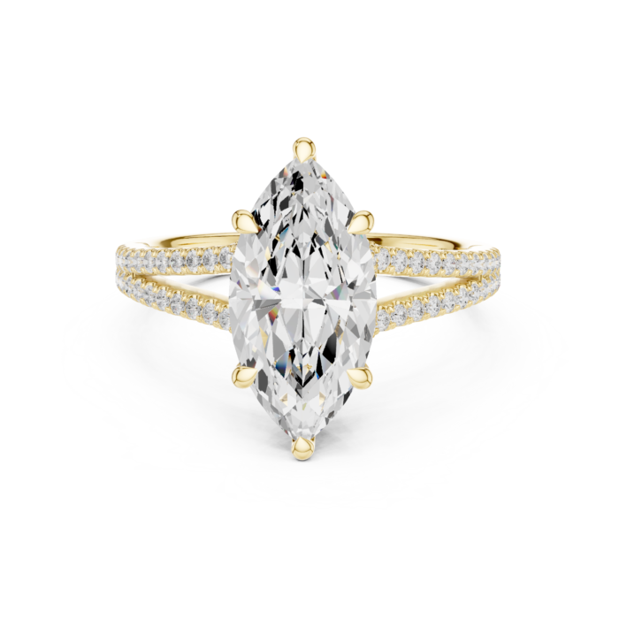 DDLR-252 - MARQUISE-02@Y-#viwe4