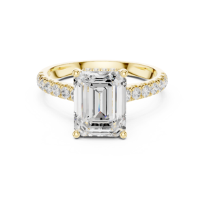 Emerald Cut Diamond Halo Engagement Ring with Pavé Band and Hidden Gallery