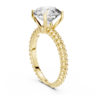 LR-0026-01@Y-#viwe1