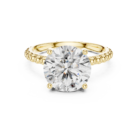 LR-0028@Y-#viwe4